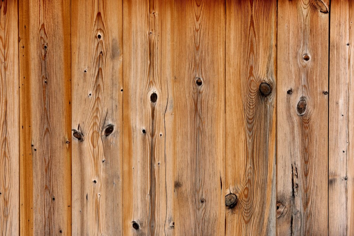 Pine wood pests – how to protect the wood?