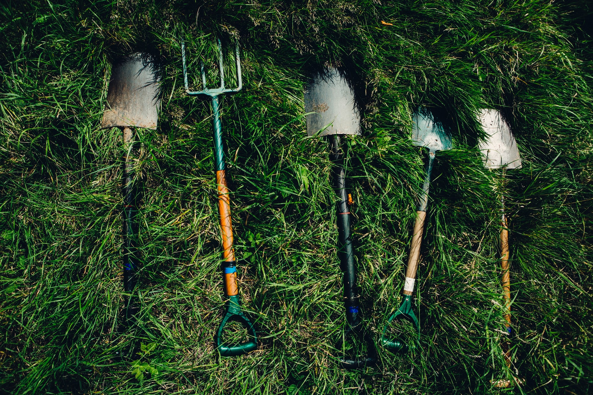Gardening tools. We suggest which ones are worth having
