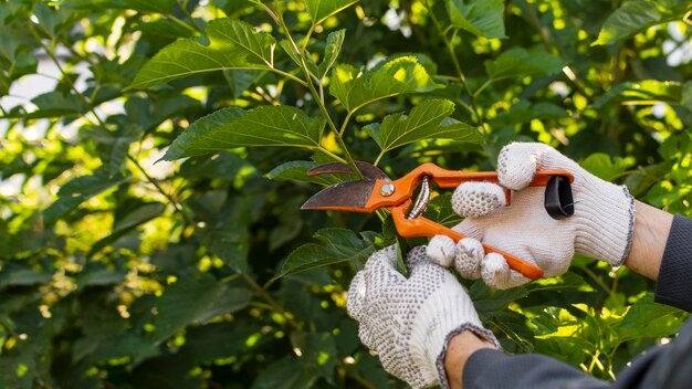 Choosing the right garden shears for long-lasting performance and easy maintenance