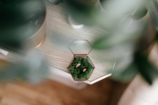 Revitalize Your Dining Space with Eco-Friendly Furniture Solutions
